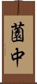 薗中 Scroll