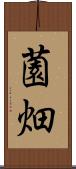 薗畑 Scroll