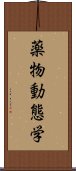 薬物動態学 Scroll