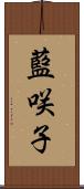 藍咲子 Scroll