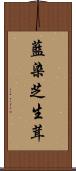 藍染芝生茸 Scroll