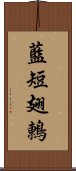 藍短翅鶇 Scroll