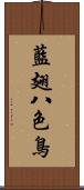 藍翅八色鳥 Scroll