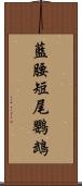 藍腰短尾鸚鵡 Scroll