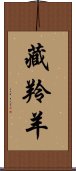 藏羚羊 Scroll