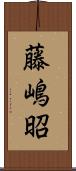 藤嶋昭 Scroll