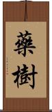 藥樹 Scroll