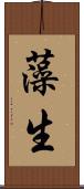 藻生 Scroll