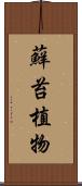 蘚苔植物 Scroll