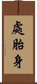處胎身 Scroll