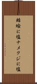 蛞蝓に塩 Scroll