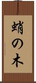 蛸の木 Scroll