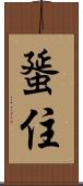 蜑住 Scroll