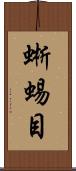 蜥蜴目 Scroll