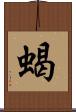 蝎 Scroll