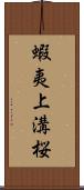 蝦夷上溝桜 Scroll