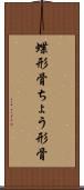蝶形骨 Scroll