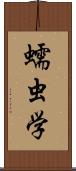 蠕虫学 Scroll