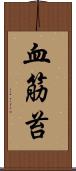 血筋苔 Scroll