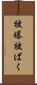 被曝 Scroll