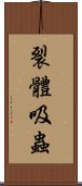 裂體吸蟲 Scroll