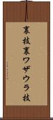 裏技 Scroll