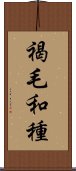 褐毛和種 Scroll