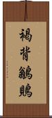 褐背鶲鵙 Scroll