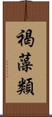 褐藻類 Scroll