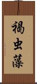 褐虫藻 Scroll
