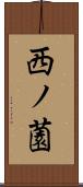 西ノ薗 Scroll