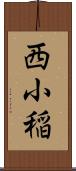 西小稲 Scroll