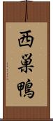 西巣鴨 Scroll