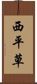 西平草 Scroll