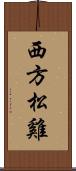 西方松雞 Scroll