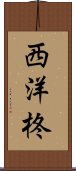 西洋柊 Scroll