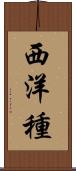 西洋種 Scroll