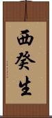 西癸生 Scroll