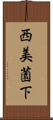 西美薗下 Scroll