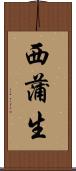 西蒲生 Scroll