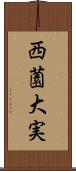 西薗大実 Scroll