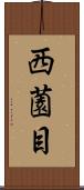 西薗目 Scroll