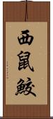 西鼠鮫 Scroll