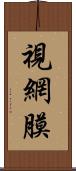 視網膜 Scroll