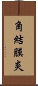 角結膜炎 Scroll