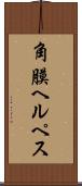 角膜ヘルペス Scroll