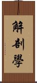 解剖學 Scroll