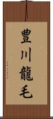 豊川龍毛 Scroll