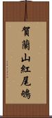 賀蘭山紅尾鴝 Scroll