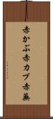 赤かぶ Scroll